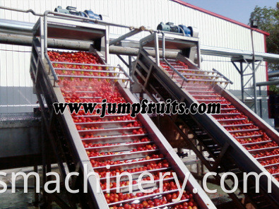 Tomato Powder Making Machine